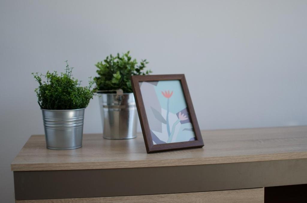 Bright Apartment Near Cismigiu And Old Town Bucarest Esterno foto